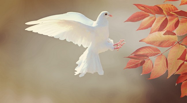 La marche par l'Esprit .1